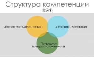 Структура компетенции Структура компетенции