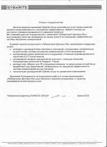 деловая игра отзыв