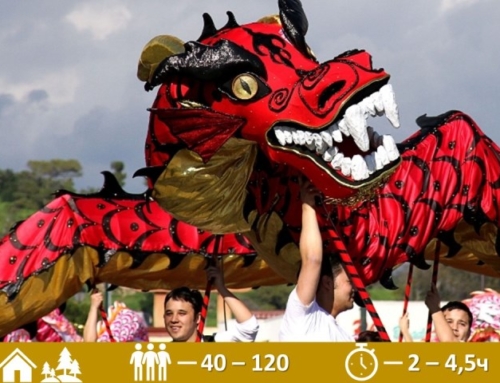 Тимбилдинг «Китайские драконы»