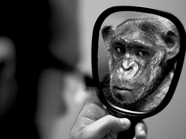 корпоративная культура компании корпоративная культура