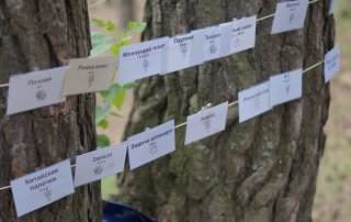 тимбилдинг веревочный курс